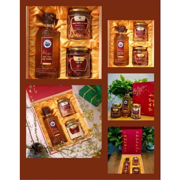 Set Quà Đông Trùng Hạ Thảo Sấy Thăng Hoa Và Tam Thất