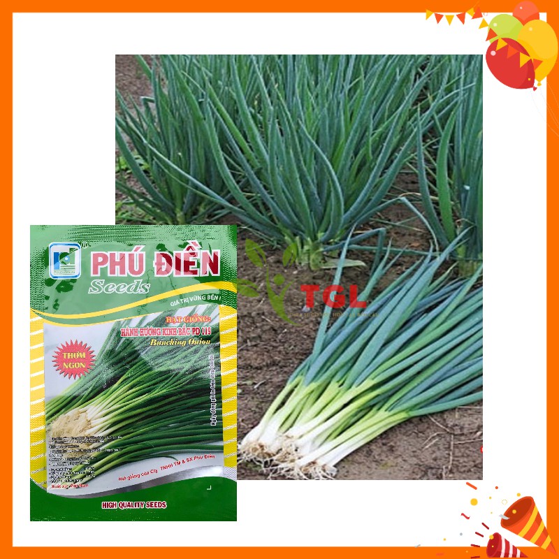 Hạt Giống Hành Hương Kinh Bắc PD 119 Phú Điền, Hạt giống rau củ quả chất lượng - Gói 2gr