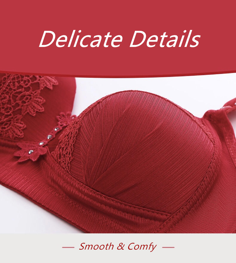 Áo Ngực Ren Size Lớn Cup 36-46 B C