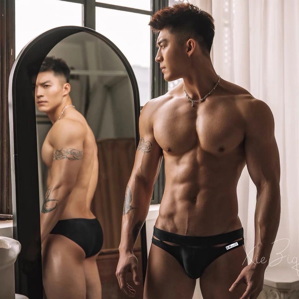 Quần lót briefs 3 màu cực kì damdang - Dm A62