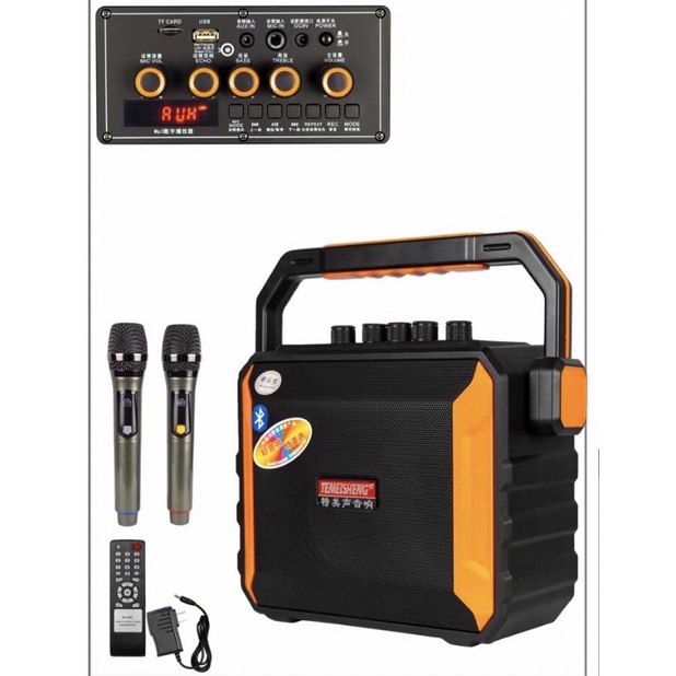 Loa karaoke Bluetooth chính hãng Temeisheng A528 tặng 2 micro