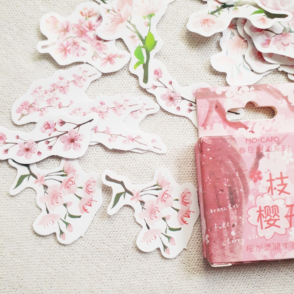 Hộp 45 miếng sticker mẫu cành hoa anh đào