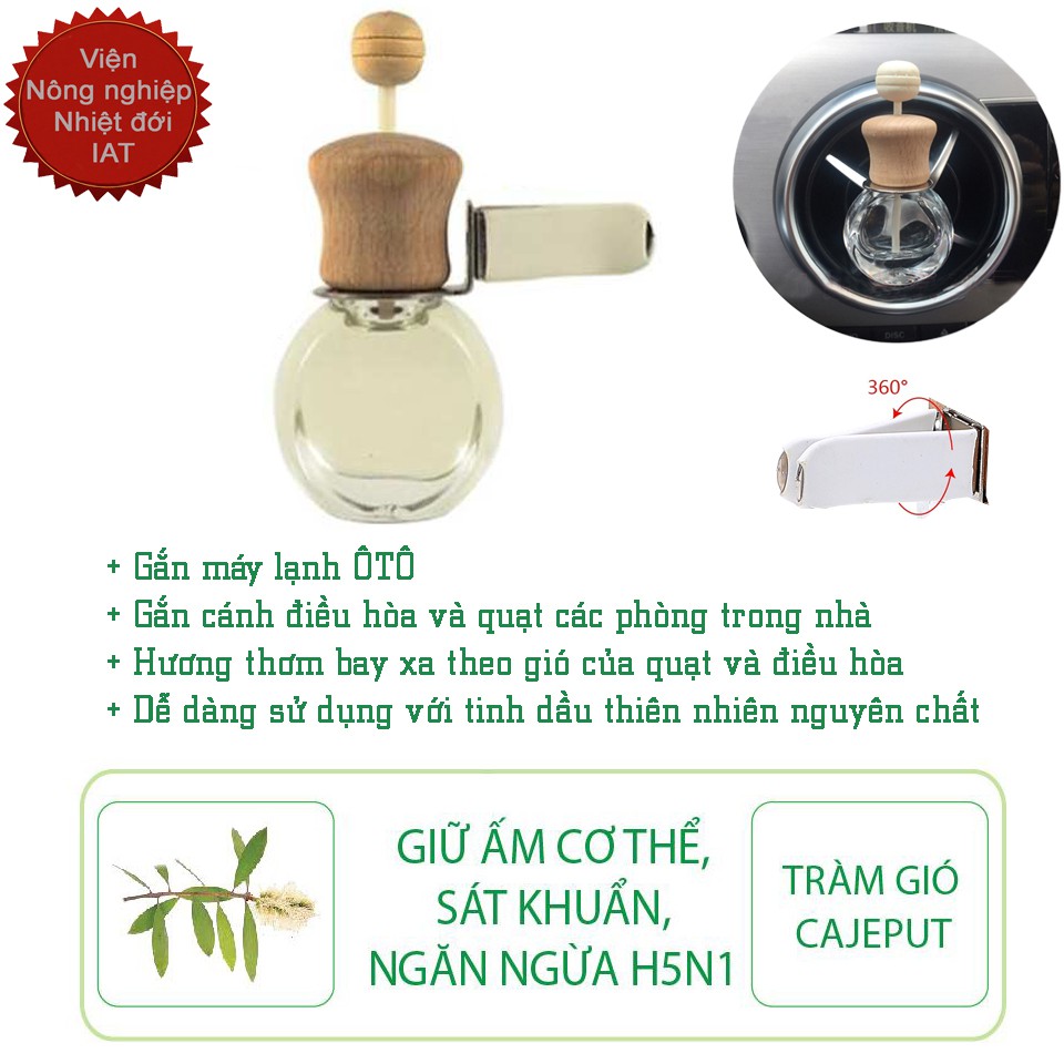 Tinh dầu ô tô nhiều kiểu chai nhiều lựa chọn tinh dầu Song An Eco oil