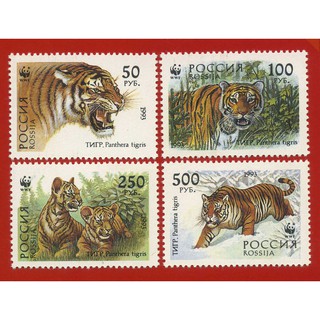 Tem sưu tập Tem Nga Động Vật 1993 ( 4 tem )