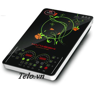 Bếp điện từ Hanabishi HN-332
