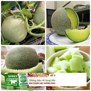 Hạt giống dưa lưới xanh - 10 hạt