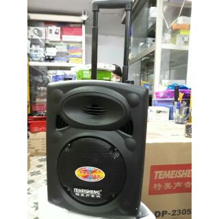 Loa kéo Temeisheng DP-131 tặng kèm 2 mích k dây