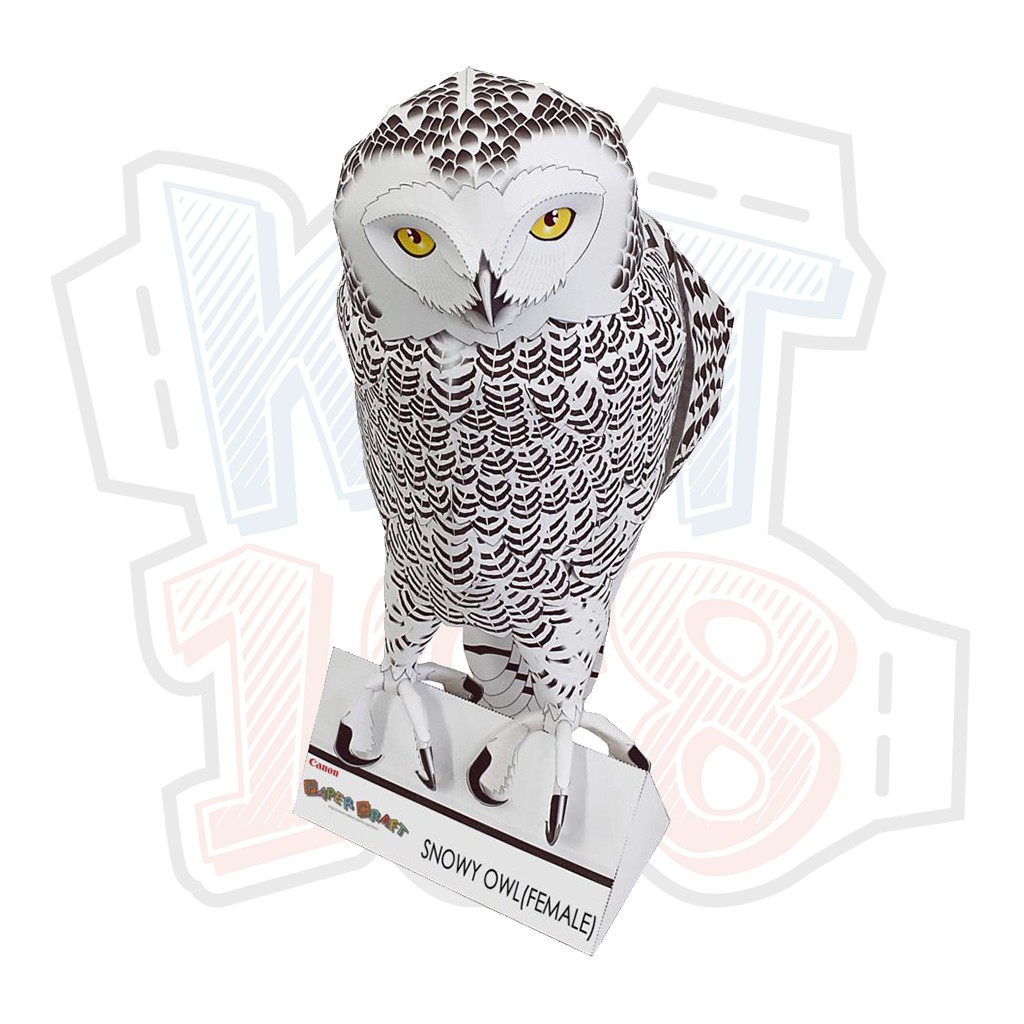 Mô hình giấy động vật Chim Cú Snowy Owl (Cái)