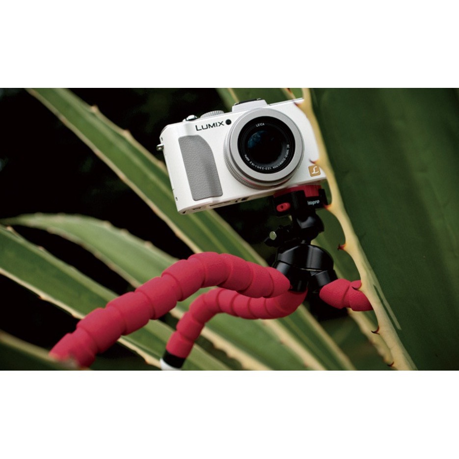 Giá đỡ điện thoại chụp ảnh, xem phim 3 chân bạch tuộc | BigBuy360 - bigbuy360.vn