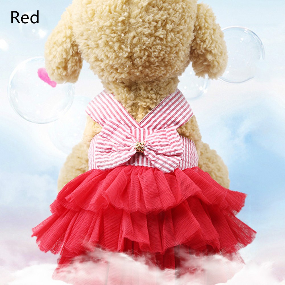 Đầm dây dễ thương cho thú cưng