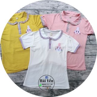 ÁO GIẤY CỔ BẺ PHA KẺ- ÁO SƠ MI GIẤY HỌC SINH