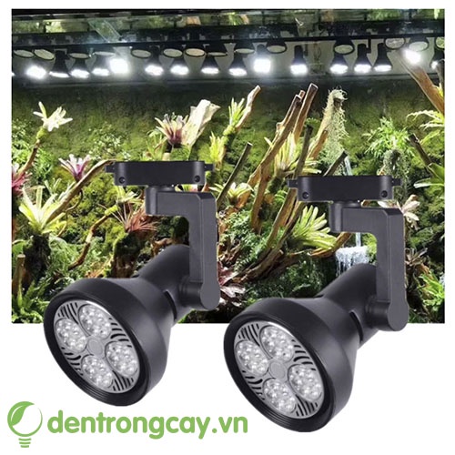 Đèn Led Ray RGB 35W/45W dùng cho cây trong nhà, bán cạn, thuỷ sinh