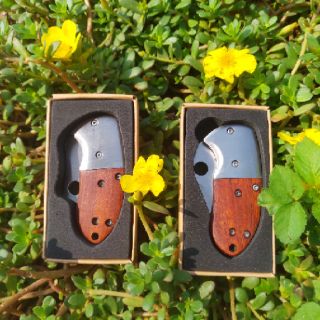 Dao phượt buck mini