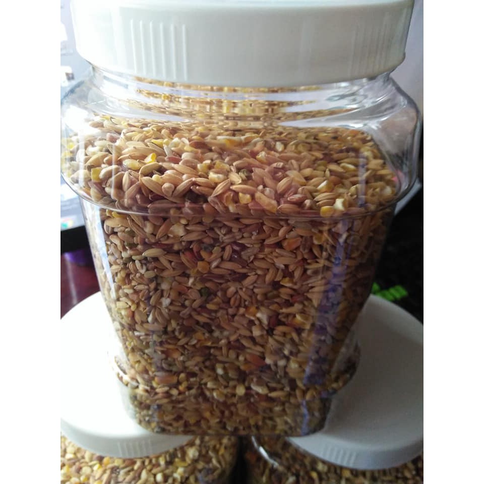 Hũ 1 kg ngũ cốc thức ăn chim bồ câu , gà tre