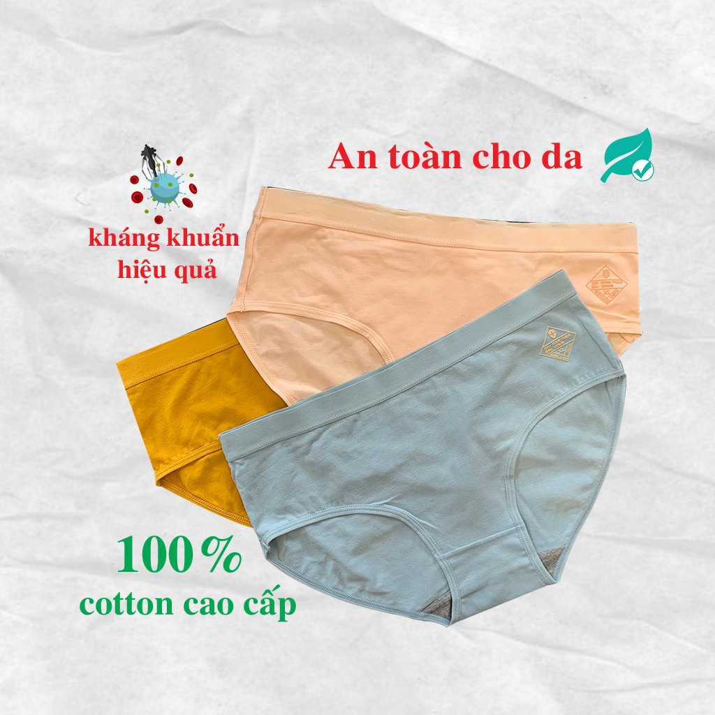 Quần Lót Nữ Q01 VNXK Chất Liệu Cotton Cao Cấp Kháng Khuẩn Xuất Nhật Siêu Mịn Thoáng Mát Thấm Hút Mồ Hôi An Toàn