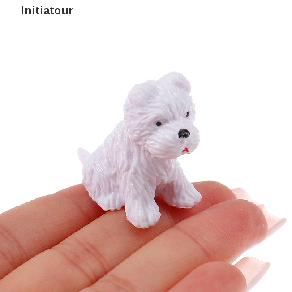 [Initiatour] Lồng Nuôi Chó Trưng Bày Phong Cảnh Đồ Chơi kennel Good