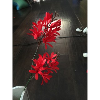 Set làm hoa lan Mokara