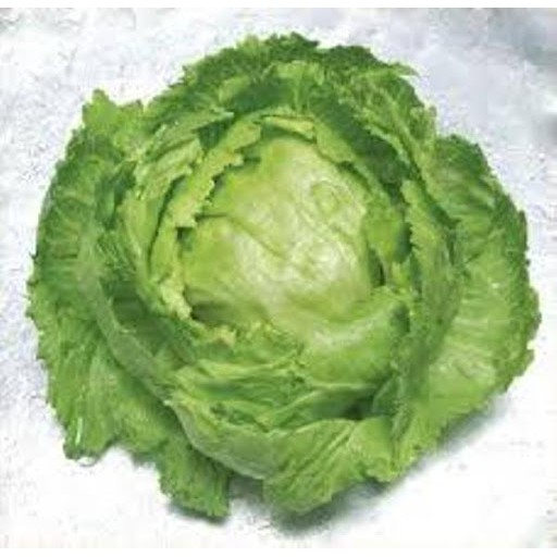 Hạt giống xà lách Minetto 2gram/gói giá rẻ