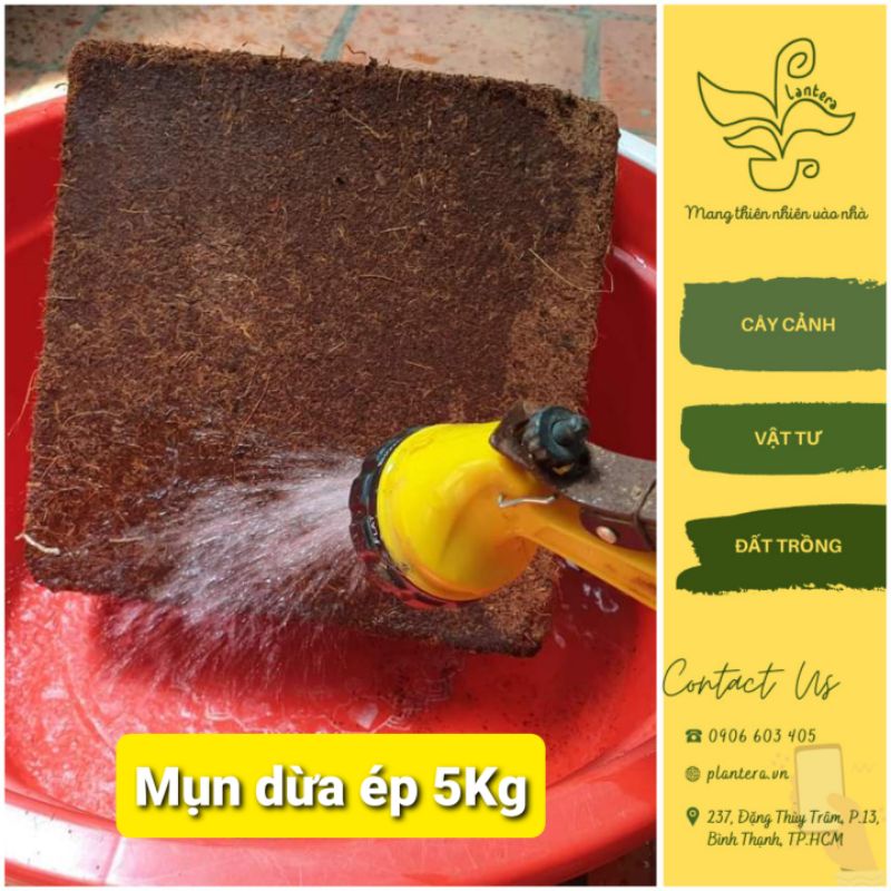 Đất trồng cây, Đất nén Mụn Dừa Ép Bánh 5kg Giá Rẻ - Giá Thể Trồng Rau Mầm, Thủy Canh