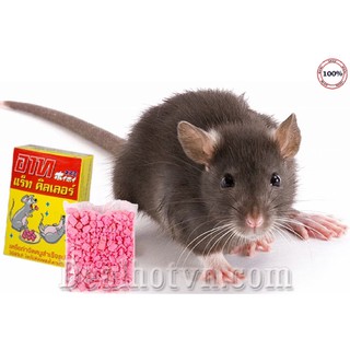 Kẹo diệt chuột hàng Thái Lan