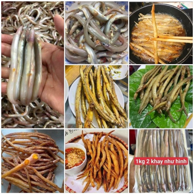CÁ SỤN SỊN -500g