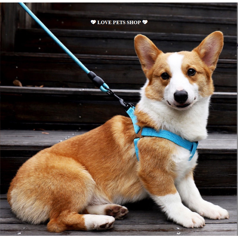 BỘ DÂY DẮT CHÓ KÈM YẾM CHO THÚ CƯNG, DÂY XÍCH CHÓ KÈM YẾM - LOVE PETS SHOP