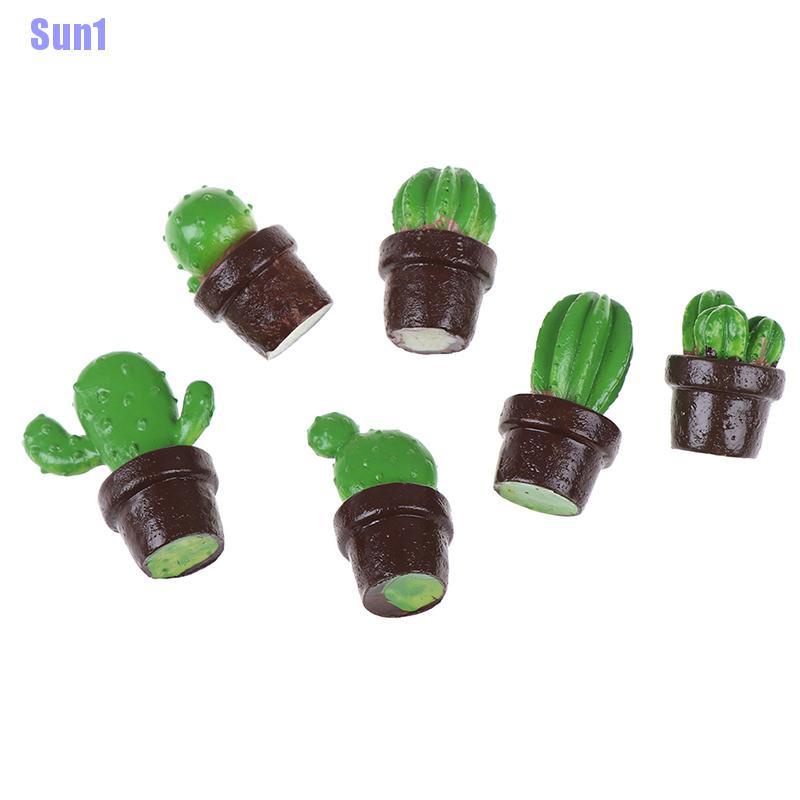 Bộ 5 Cây Xương Rồng mini Trang Trí Nhà Búp Bê
