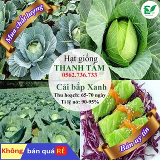 Hạt giống Cải bắp Xanh-2g