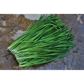 Hạt giống hẹ xanh