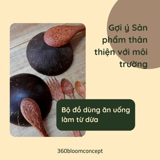 Muỗng, thìa cà phê gỗ dừa (One4one)