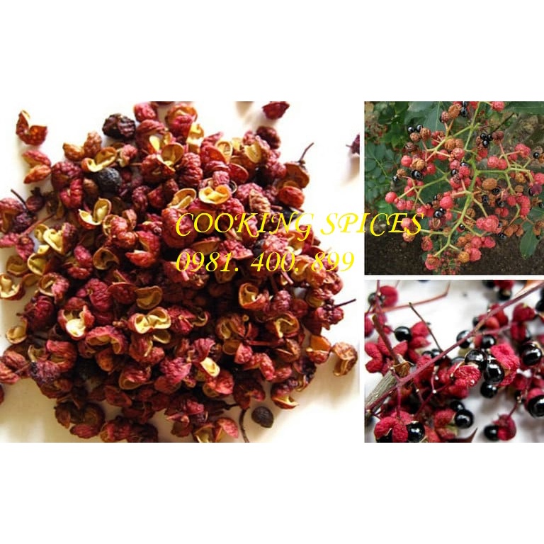 Xuyên Tiêu Tứ Xuyên đỏ  không trộn cành