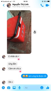 Thùng đá vuông Việt Nhật 13L