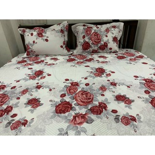 Bộ ga chun chần Everon SR16