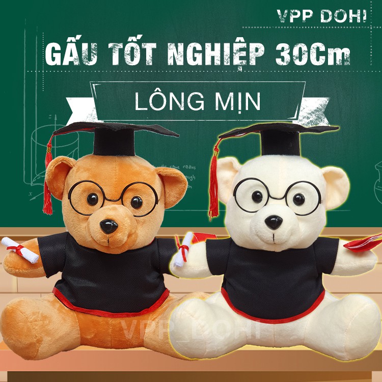 Gấu bông tốt nghiệp 30cm lông trơn giá sỉ, tặng giấy gói quà