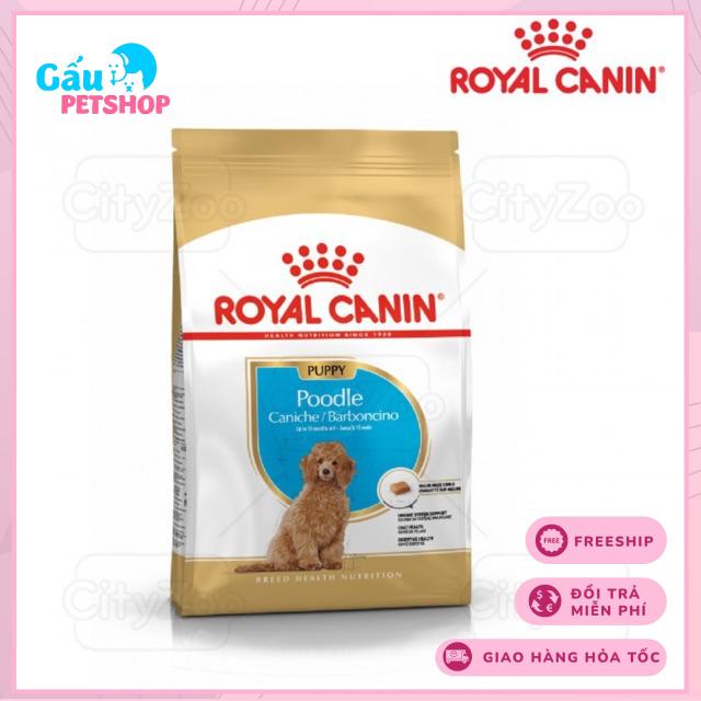 Hạt cho chó ROYAL CANIN POODLE PUPPY 1,5kg