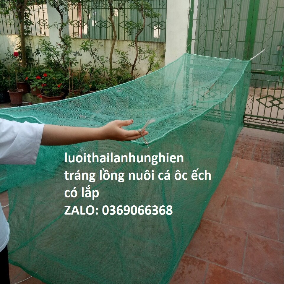 Tráng Nuôi Cá Xung Quanh 2ly Size 5 x 4 x 1,5 đáy 5ly Nuôi Cá Từ Nhỏ Tới To, Lưới Thái Lan Hương cá tra, cá chuôi hoa