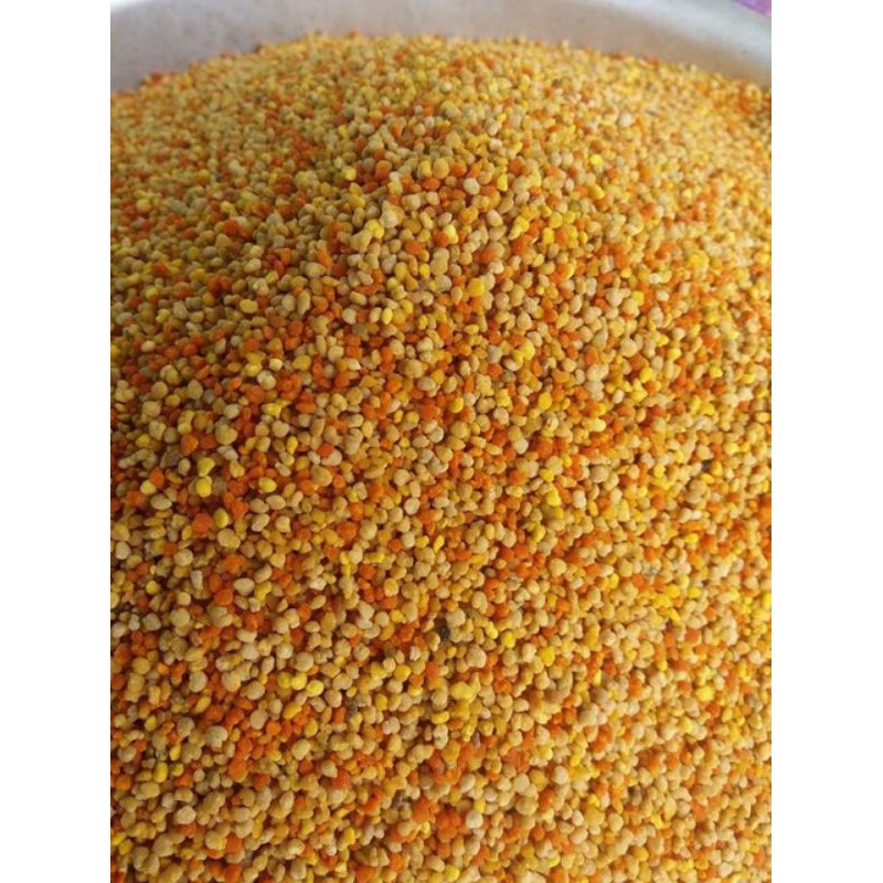 Phấn hoa rừng Tây Bắc