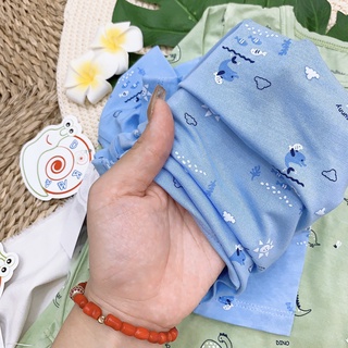 Bộ dài tay sợi tre - DB551
