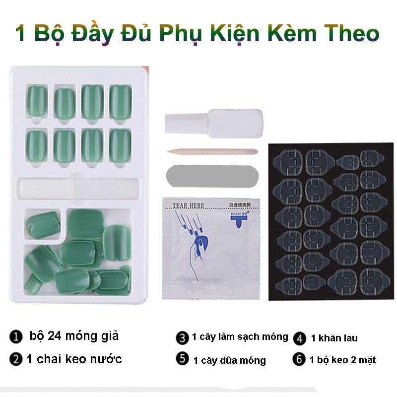 Hộp 24 Móng giả, nail giả, Kèm keo khô và keo nước, Cây dũa (24-01)