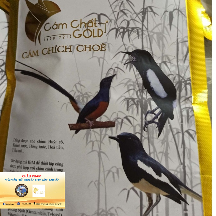 CÁM KICH HOT CHOÈ ĐẤT CHOÈ THAN CHOÈ LỬA MI KHƯớU SIÊNG HÓT CHƠI BỀN