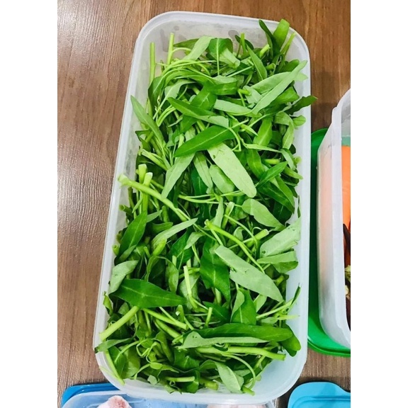 HỘP VENTSMART 6.1L TUPPERWARE