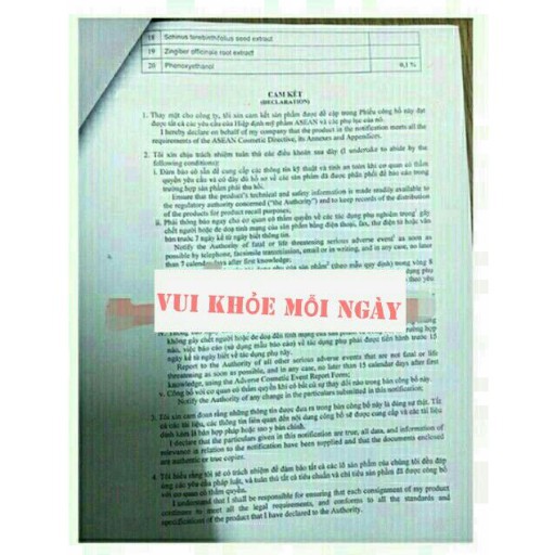 Cao Gừng Tan Mỡ Bụng Chính hãng Thiên Nhiên Việt | BigBuy360 - bigbuy360.vn