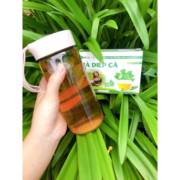 TRÀ DIẾP CÁ LỤA VY CHÍNH HÃNG HỘP NHỎ 18 túi lọc