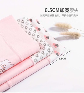 Quần Lót Cạp Cao, Cao Cấp (Combo 5)