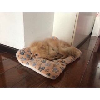 ĐỆM THẢM BÔNG CHO CHÓ MÈO