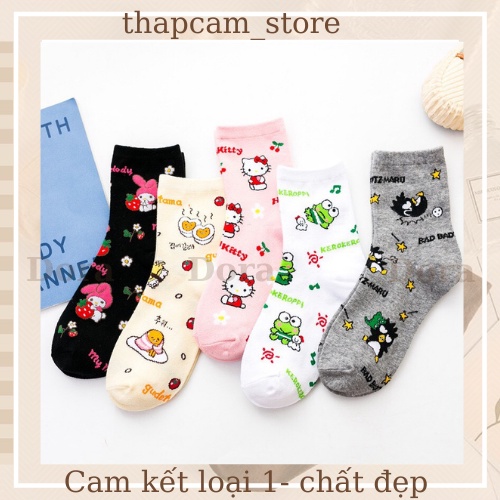 Bộ tất kitty cao cổ họa tiết kute