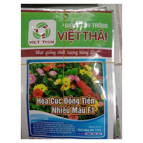 Hạt giống hoa cúc đồng tiền nhiều màu F1