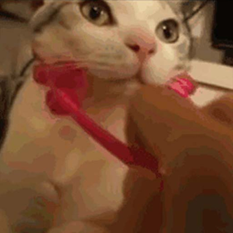 Dụng Cụ Mát Xa Mặt Và Chân Đa Năng Chăm Sóc Sức Khỏe Cho Mèo