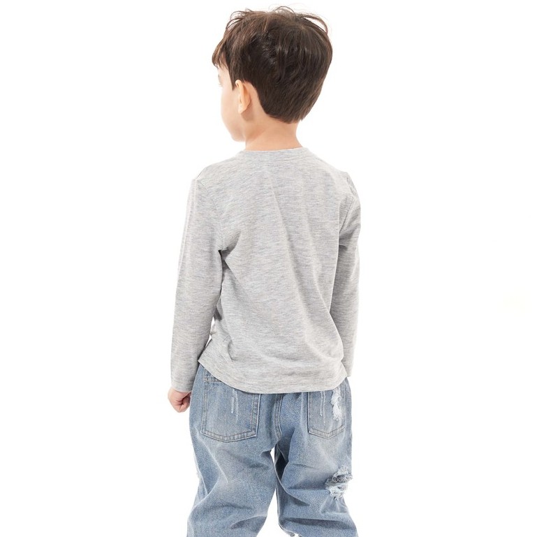 Áo Thun Tay Dài Bé Trai Từ 1 Đến 8 Tuổi Chất Cotton In Hình Khủng Long Thời Trang Thu Đông Beddep Kid Clothers BA05