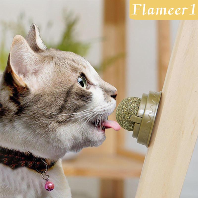 [Flameameer1] Quả Bóng Bạc Hà Tự Nhiên Làm Sạch Răng Nuôi Dưỡng Gắn Tường Cho Mèo